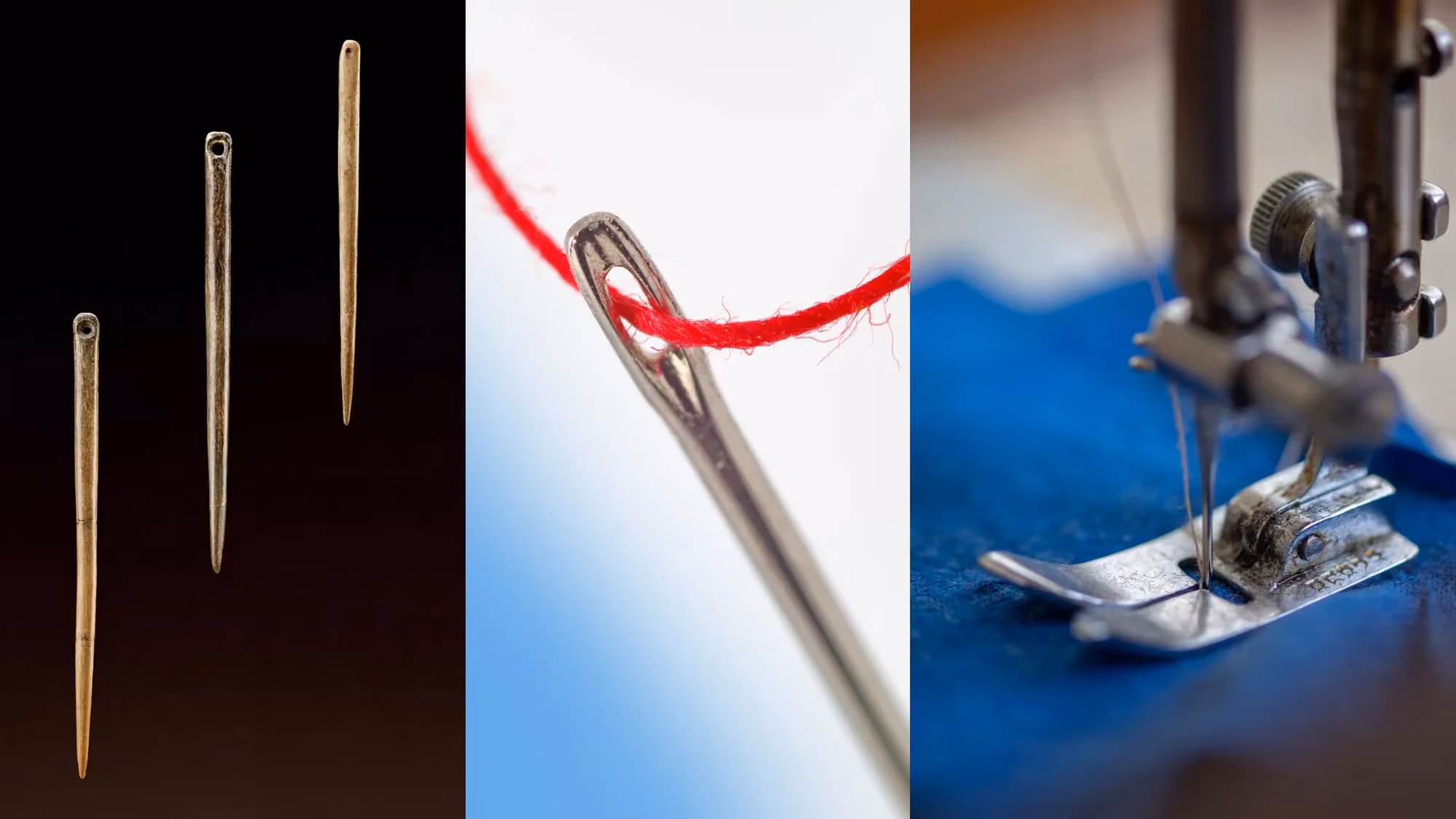 A triptych. On the left, three carved bone sewing needles on black. In the middle, a stainless steel needle threaded with red thread, lit close. On the right, the foot and needle of a sewing machine stitching blue fabric.